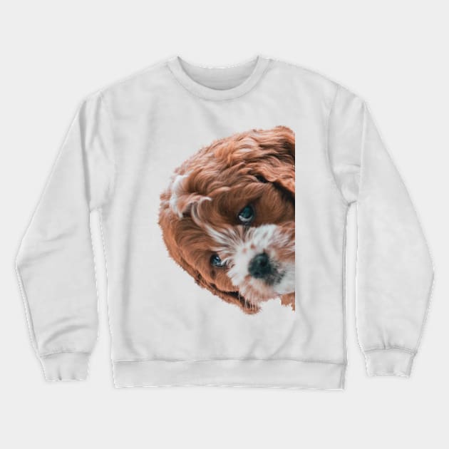 Puppy Peekaboo Crewneck Sweatshirt by Studio-Sy